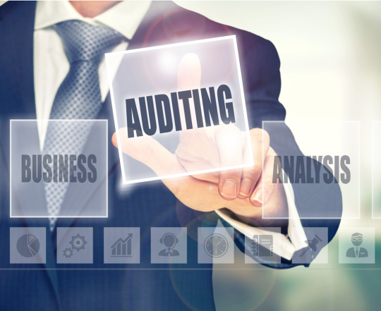 Ελεγκτική του Δημόσιου Τομέα στην Ελλάδα: Αναγκαιότητα-Οφέλη και Διαχείριση Δημόσιων Πόρων